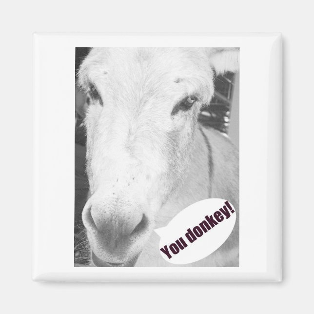 Íman Seu burro (Frente)