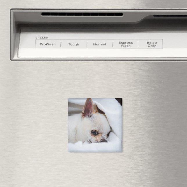 Íman Seu cachorrinho de estimação foto personalizada ch (In Situ (Dishwasher))