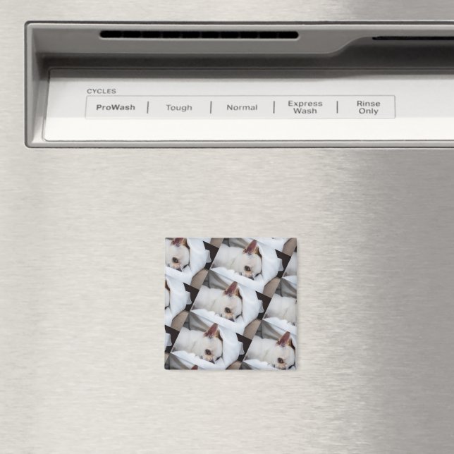 Íman Seu cachorro de estimação, foto personalizada, pad (In Situ (Dishwasher))