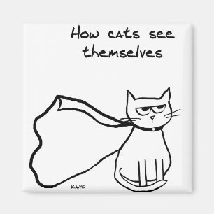 Íman Seu gato o super-herói - presente engraçado do