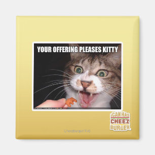 Íman Seu oferecimento satisfaz o gatinho