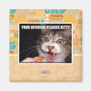 Íman Seu oferecimento satisfaz o gatinho