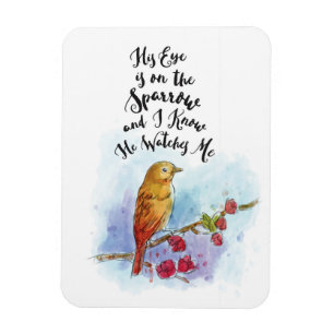 Íman Seu olho está no ímã do pardal