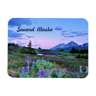 Íman Seward, Alaska Magnet viagem