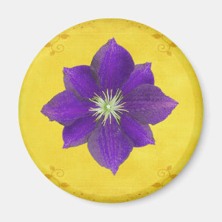 Íman Sexto Presente Chakra - Terceiro Olho