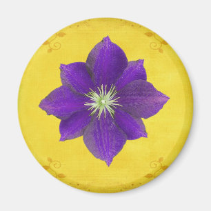 Íman Sexto presente de Chakra - terceiro olho