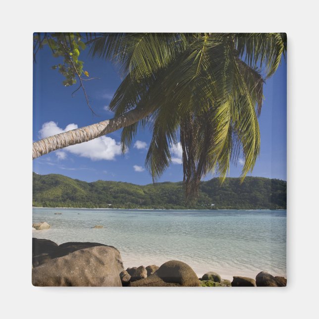 Íman Seychelles, Ilha de Mahe, Anse a la Mouche (Frente)