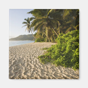 Íman Seychelles, Ilha de Mahe, Anse Marie-Louise