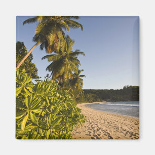 Íman Seychelles, Ilha de Mahe, praia de Anse Takamaka,