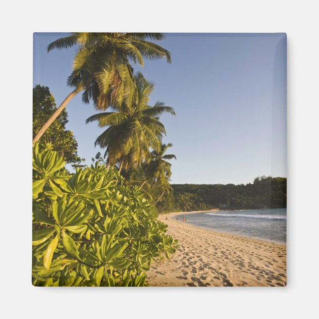 Íman Seychelles, Ilha de Mahe, praia de Anse Takamaka, (Frente)