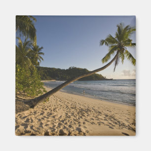 Íman Seychelles, Ilha de Mahe, praia de Anse Takamaka,
