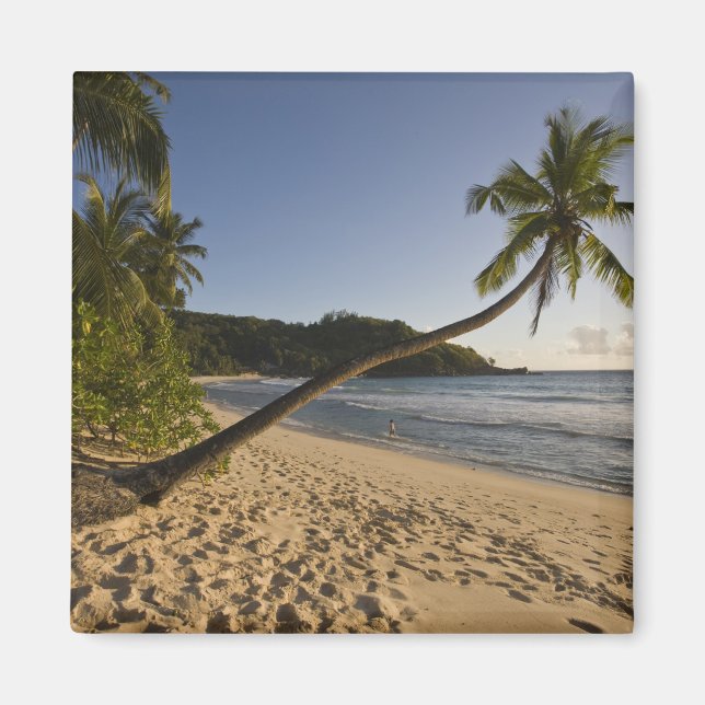 Íman Seychelles, Ilha de Mahe, praia de Anse Takamaka, (Frente)