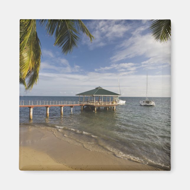 Íman Seychelles, Ilha de Praslin, Anse Bois de Rose, (Frente)