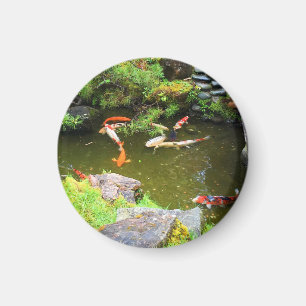 Íman SF Japonês Tea Garden Koi Pond #1 Magnet