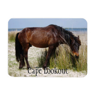 Íman Shackleford Bank Wild Horse Magnet