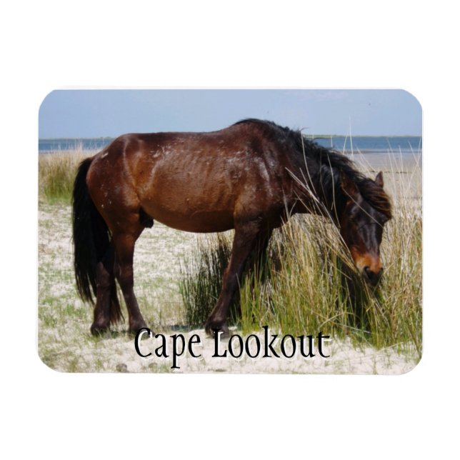 Íman Shackleford Bank Wild Horse Magnet (Horizontal)