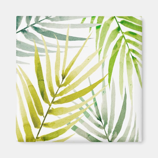 Íman Shady Palms (Frente)