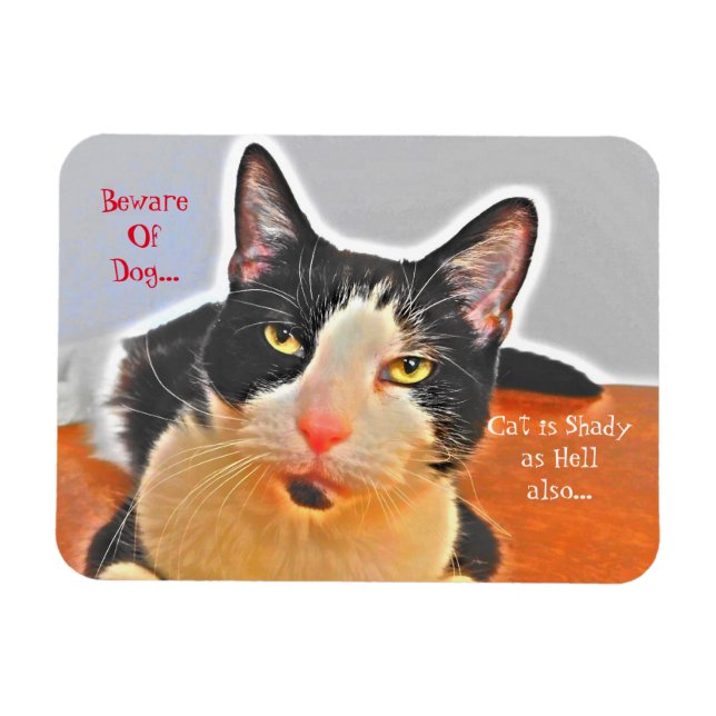 Íman Shady Tuxedo Cat (Horizontal)