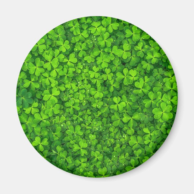 Íman Shamrock Clovers Green Irish Símbolo Irlanda (Frente)