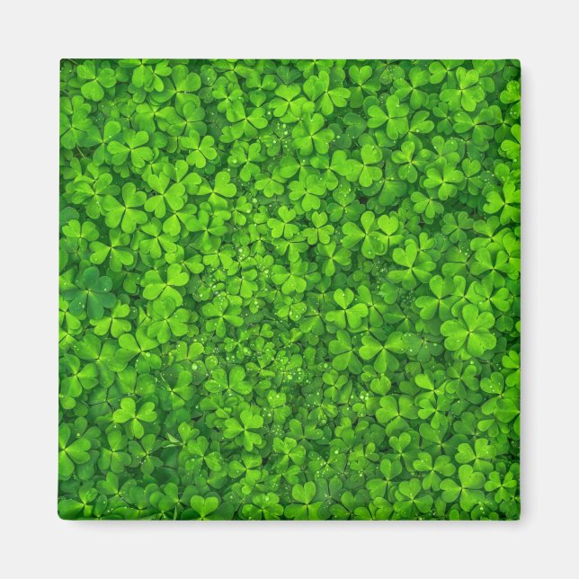 Íman Shamrock green, St. Patrick's Day, (Frente)