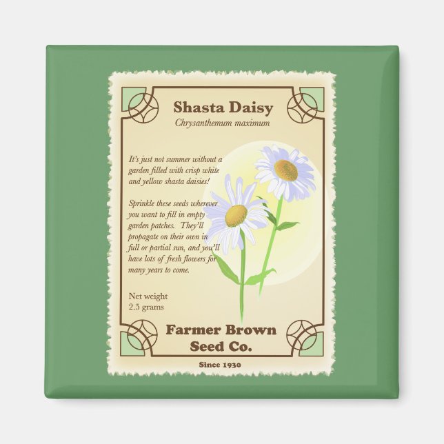 Íman Shasta Daisy Seed Packet (Frente)