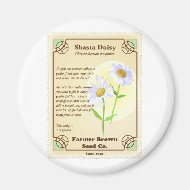 Íman Shasta Daisy Seed Packet (Frente)