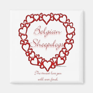 Íman Sheepdog Belga