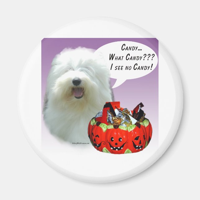 Íman Sheepdog Halloween Candy (Frente)