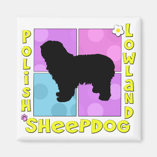 Íman Sheepdog polonês Groovy da planície