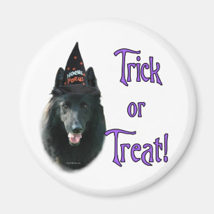 Íman Sheepdog Trick belga