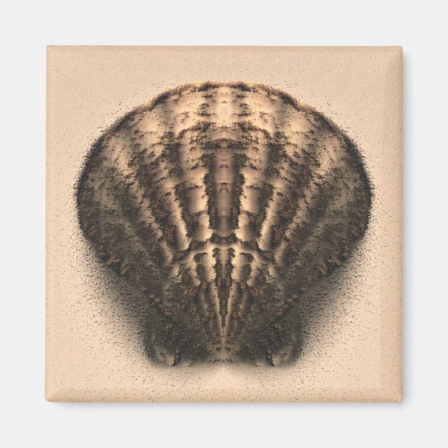 Íman Shell Magnet (Frente)