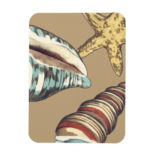 Íman Shell Trio em Khaki (Vertical)