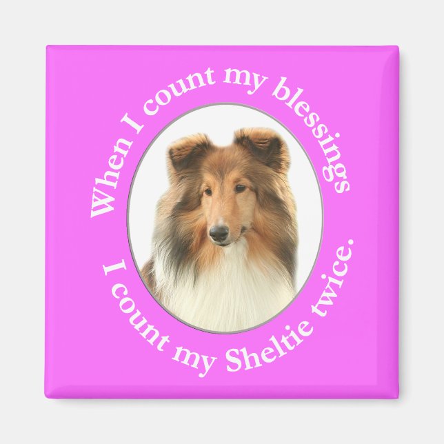 Íman Sheltie Blush Magnet (Frente)