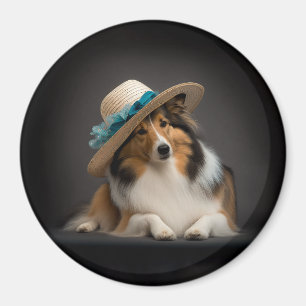 Íman Sheltie em um chapéu