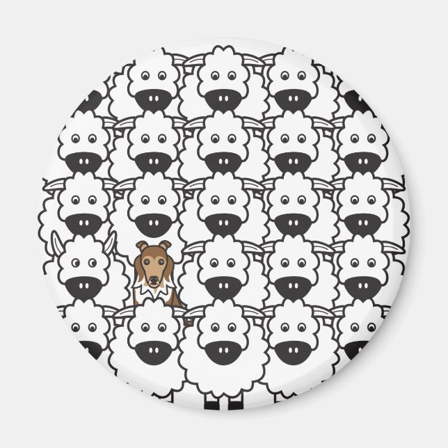 Íman Sheltie in the Sheep (Frente)