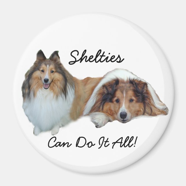 Íman Sheltie Magnet (Frente)