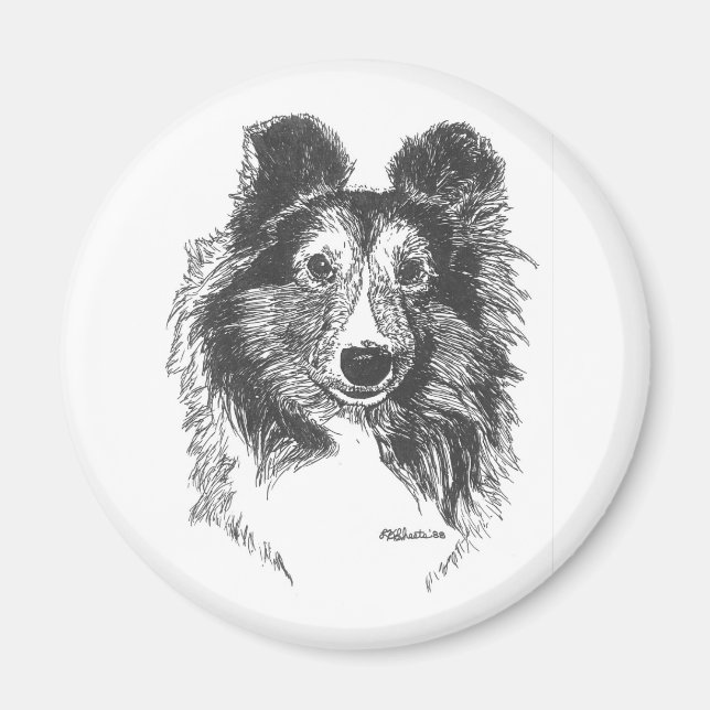 Íman Sheltie Magnet (Frente)