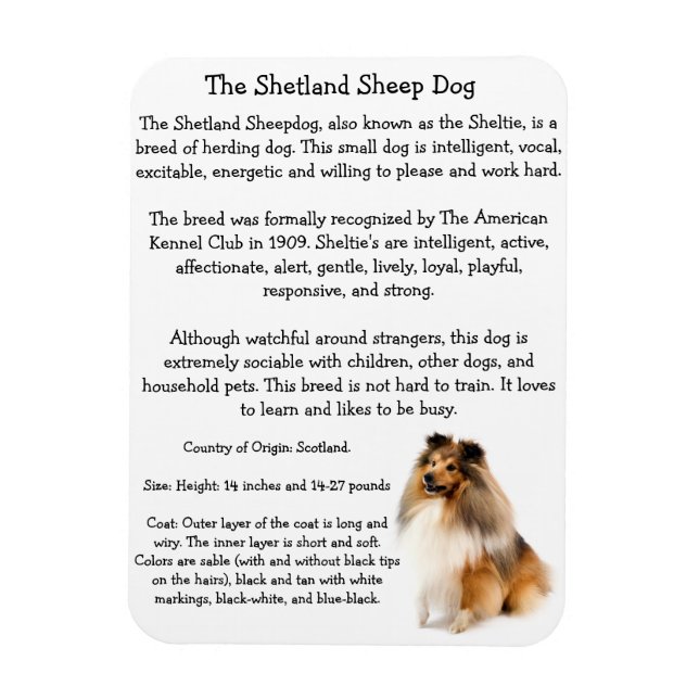 Íman Sheltie Magnet (Vertical)
