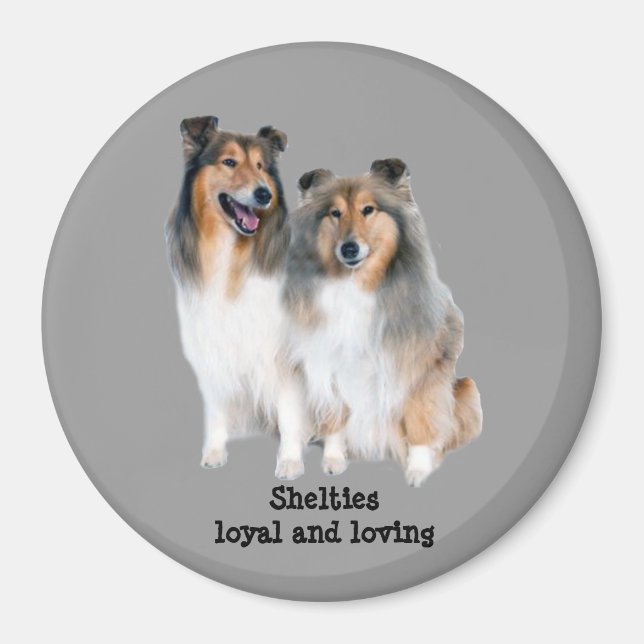 Íman Sheltie Magnet (Frente)
