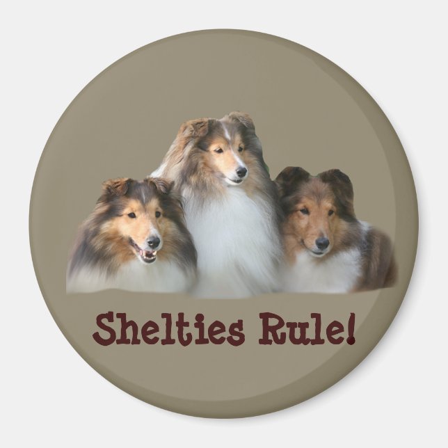 Íman Sheltie Magnet (Frente)