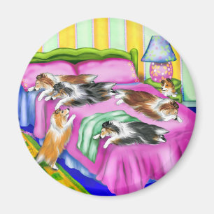 Íman Sheltie Pink Comfort