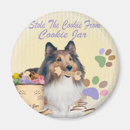 Íman Sheltie Roubou Os Magnets