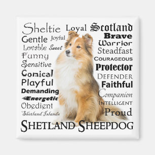Íman Sheltie Traits Magnet