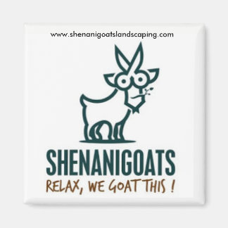Íman Shenanigoats imã...nunca nos esqueçam!