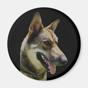 Íman Shepard Magnet