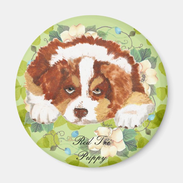 Íman Shepherd Red Tri Puppy ~ Folhas Verdes (Frente)