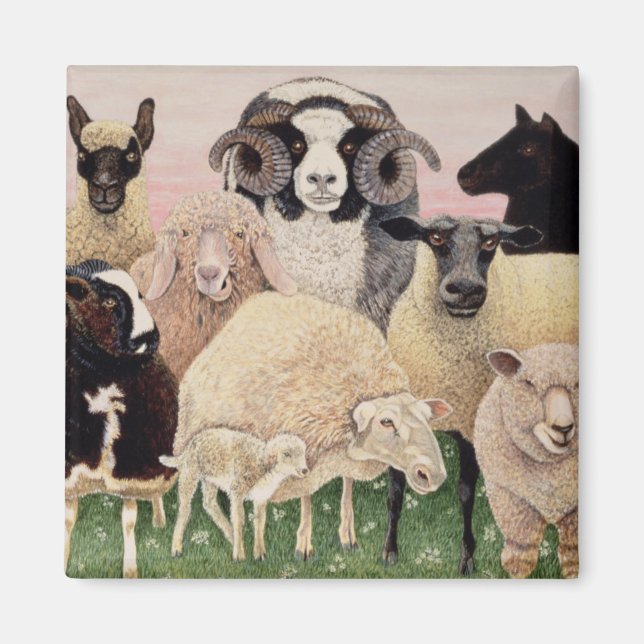 Íman Shepherds Delight (Frente)