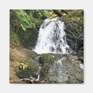 Íman Shepperd's Dell Falls, Oregon