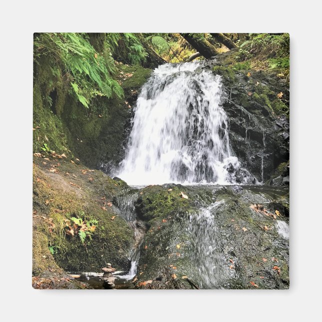 Íman Shepperd's Dell Falls, Oregon (Frente)