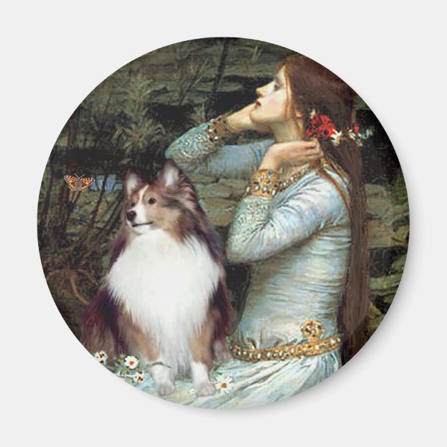 Íman Shetland Sheepdog 18 - Ophelia Seated (Frente)